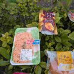 レス21番の画像5