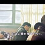 レス1番の画像3