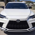 レス8番の画像3