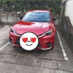 レス23番の画像1