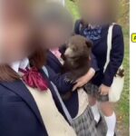 レス1番のリンク先のサムネイル画像