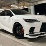 レス8番の画像1