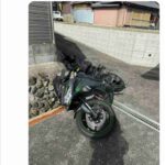 レス29番の画像1