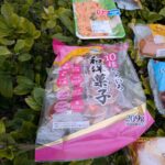 レス21番の画像4