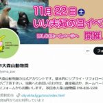 レス1番のリンク先のサムネイル画像