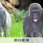 レス1番のリンク先のサムネイル画像