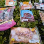 レス21番の画像8