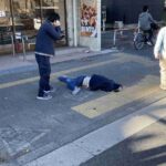 レス1番の画像2