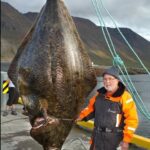 レス2番の画像1