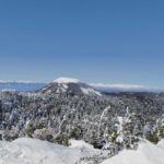 レス1番の画像3