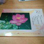 レス8番の画像2