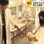 レス1番の画像6