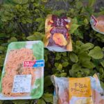 レス21番の画像6