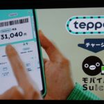 レス1番のリンク先のサムネイル画像