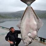 レス3番の画像1