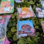 レス21番の画像7