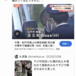 レス1番の画像2