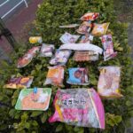 レス1番の画像7