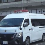 レス1番のリンク先のサムネイル画像