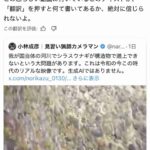 レス42番の画像1