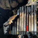 レス1番の画像4