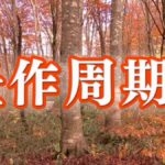 レス1番のリンク先のサムネイル画像