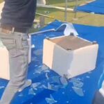 レス2番の画像2