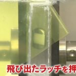 レス1番の画像2