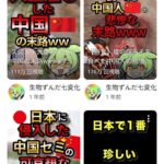 レス45番の画像2