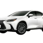 レス3番の画像1