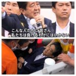 レス5番の画像1