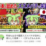 レス45番の画像1