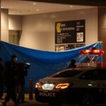 レス2番のリンク先のサムネイル画像