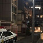 レス1番のリンク先のサムネイル画像