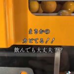 レス23番の画像1