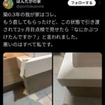 レス8番の画像1