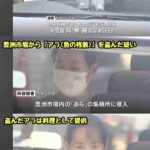 レス1番の画像3