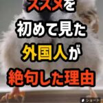 レス1番の画像8