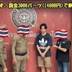 レス3番の画像1