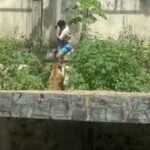 レス3番のリンク先のサムネイル画像