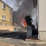 レス3番の画像1