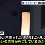 レス1番のリンク先のサムネイル画像