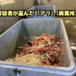 レス1番の画像3