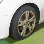 レス1番のリンク先のサムネイル画像