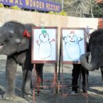 レス1番のリンク先のサムネイル画像