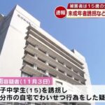 レス1番のリンク先のサムネイル画像