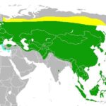 レス1番の画像9