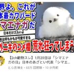 レス1番の画像4