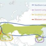 レス1番の画像5