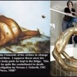 レス26番の画像2